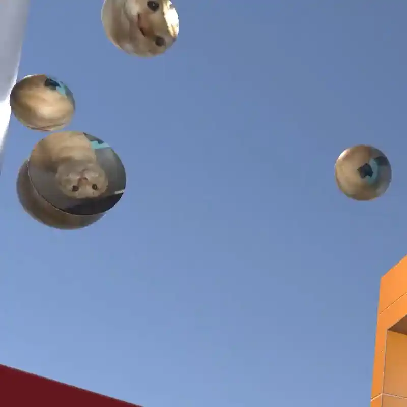 圆头耄耋石墩子怎么在天上飞啊